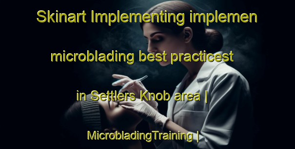 Skinart Implementing implemen microblading best practicest in Settlers Knob area | MicrobladingTraining | MicrobladingClasses | SkinartTraining-United States